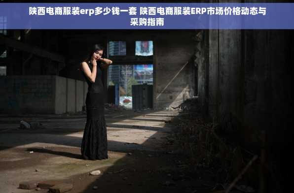 陕西电商服装erp多少钱一套 陕西电商服装ERP市场价格动态与采购指南