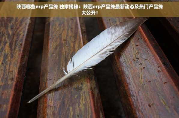 陕西哪些erp产品线 独家揭秘：陕西erp产品线最新动态及热门产品线大公开！