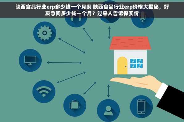 陕西食品行业erp多少钱一个月啊 陕西食品行业erp价格大揭秘，好友急问多少钱一个月？过来人告诉你实情