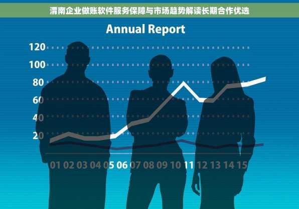渭南企业做账软件服务保障与市场趋势解读长期合作优选