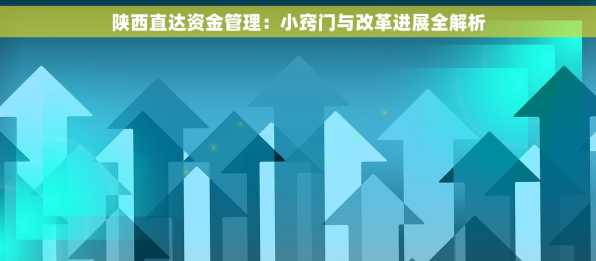 陕西直达资金管理：小窍门与改革进展全解析
