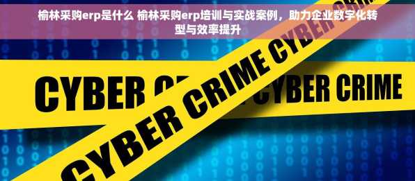 榆林采购erp是什么 榆林采购erp培训与实战案例，助力企业数字化转型与效率提升