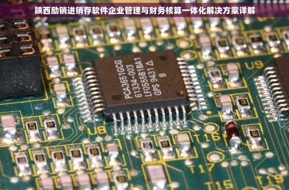 陕西励销进销存软件企业管理与财务核算一体化解决方案详解