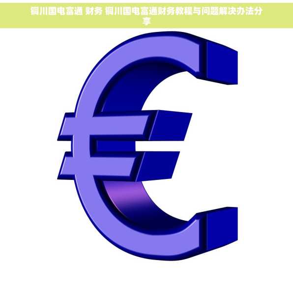 铜川国电富通 财务 铜川国电富通财务教程与问题解决办法分享
