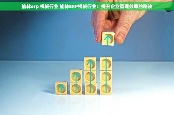 榆林erp 机械行业 榆林ERP机械行业：提升企业管理效率的秘诀