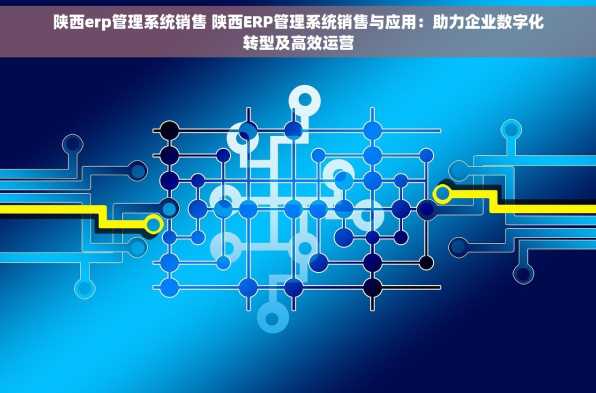 陕西erp管理系统销售 陕西ERP管理系统销售与应用：助力企业数字化转型及高效运营