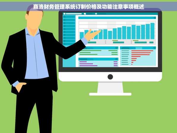 商洛财务管理系统订制价格及功能注意事项概述