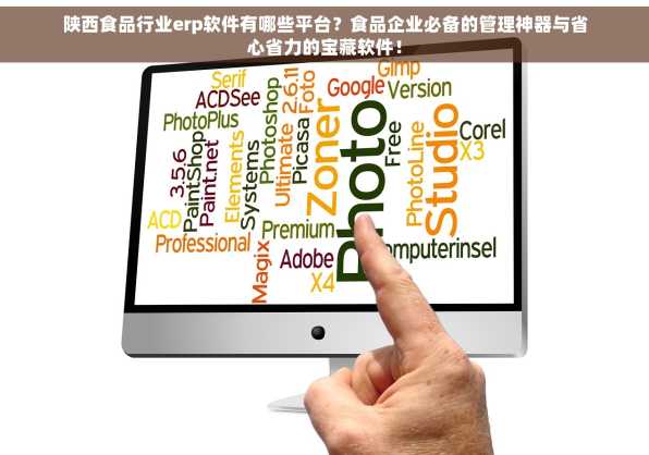 陕西食品行业erp软件有哪些平台？食品企业必备的管理神器与省心省力的宝藏软件！