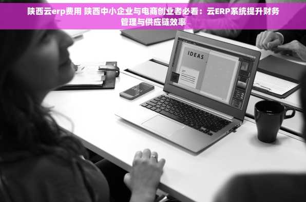 陕西云erp费用 陕西中小企业与电商创业者必看：云ERP系统提升财务管理与供应链效率