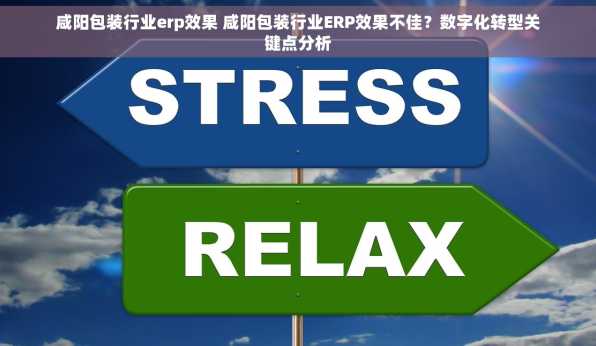咸阳包装行业erp效果 咸阳包装行业ERP效果不佳？数字化转型关键点分析