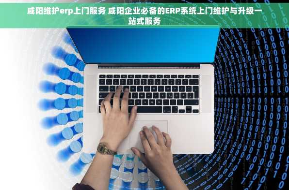 咸阳维护erp上门服务 咸阳企业必备的ERP系统上门维护与升级一站式服务