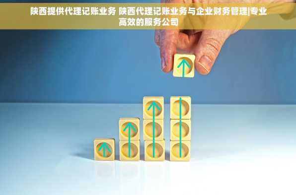 陕西提供代理记账业务 陕西代理记账业务与企业财务管理|专业高效的服务公司