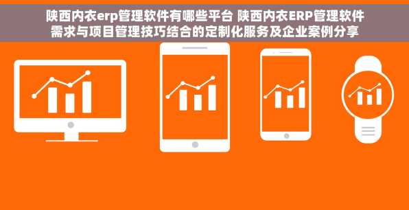 陕西内衣erp管理软件有哪些平台 陕西内衣ERP管理软件需求与项目管理技巧结合的定制化服务及企业案例分享
