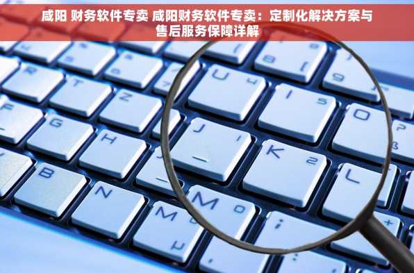咸阳 财务软件专卖 咸阳财务软件专卖：定制化解决方案与售后服务保障详解