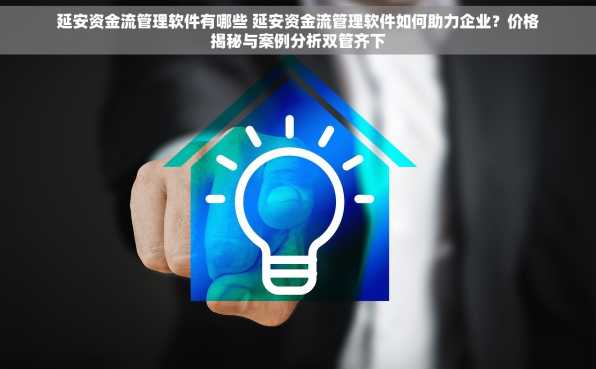 延安资金流管理软件有哪些 延安资金流管理软件如何助力企业？价格揭秘与案例分析双管齐下