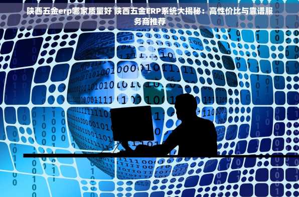 陕西五金erp哪家质量好 陕西五金ERP系统大揭秘：高性价比与靠谱服务商推荐