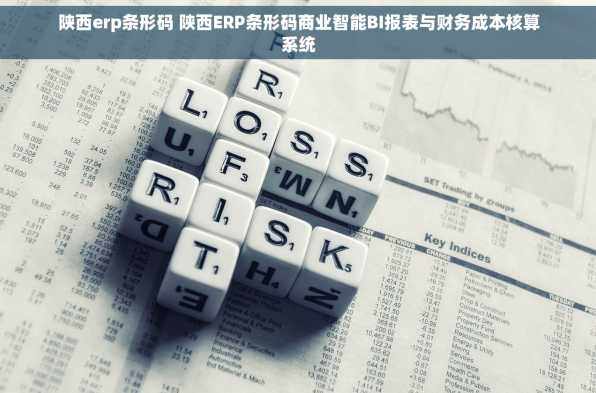 陕西erp条形码 陕西ERP条形码商业智能BI报表与财务成本核算系统