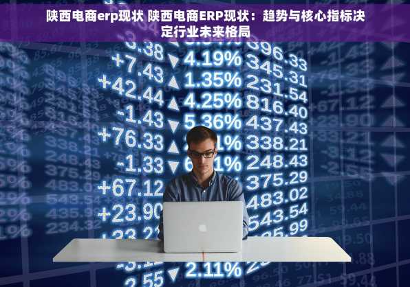 陕西电商erp现状 陕西电商ERP现状：趋势与核心指标决定行业未来格局