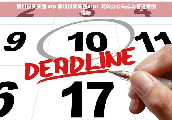 铜川投资集团 erp 铜川投资集团erp：高效办公与成功管理案例揭秘