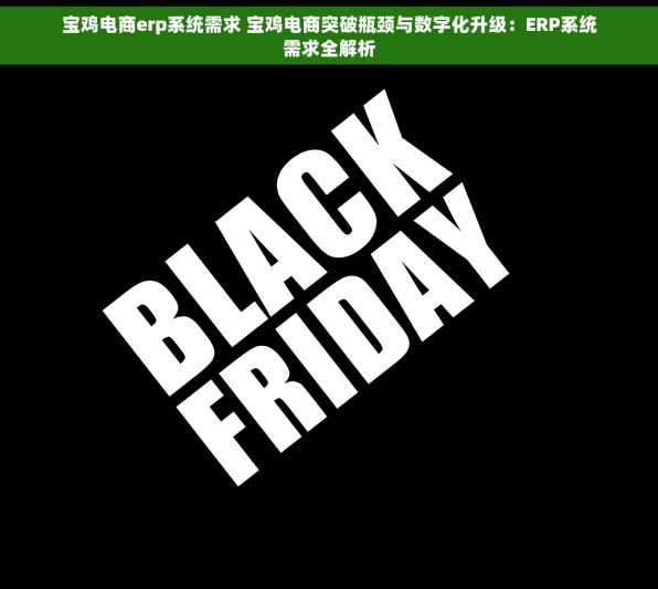 宝鸡电商erp系统需求 宝鸡电商突破瓶颈与数字化升级：ERP系统需求全解析