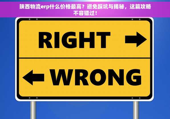 陕西物流erp什么价格最高？避免踩坑与揭秘，这篇攻略不容错过！