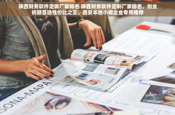 陕西财务软件定做厂家排名 陕西财务软件定制厂家排名，创业初期首选性价比之王，西安本地小微企业专用推荐