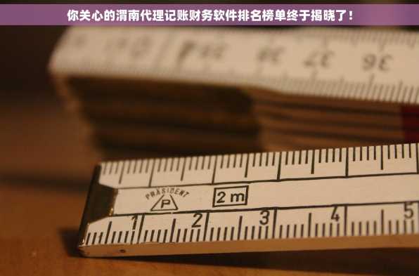你关心的渭南代理记账财务软件排名榜单终于揭晓了！