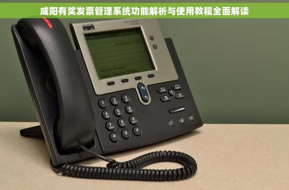 咸阳有奖发票管理系统功能解析与使用教程全面解读