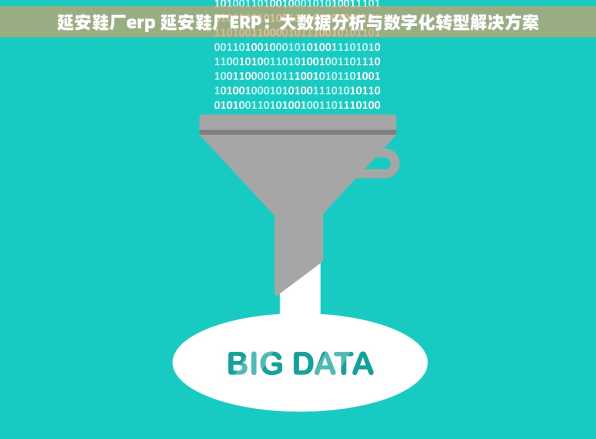 延安鞋厂erp 延安鞋厂ERP：大数据分析与数字化转型解决方案