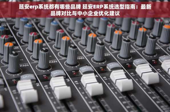 延安erp系统都有哪些品牌 延安ERP系统选型指南：最新品牌对比与中小企业优化建议