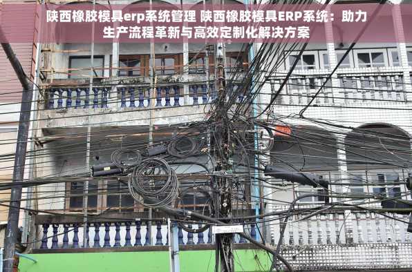 陕西橡胶模具erp系统管理 陕西橡胶模具ERP系统：助力生产流程革新与高效定制化解决方案