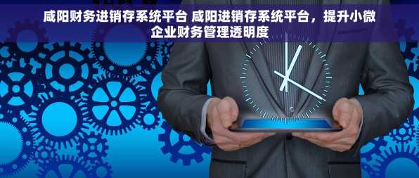 咸阳财务进销存系统平台 咸阳进销存系统平台，提升小微企业财务管理透明度