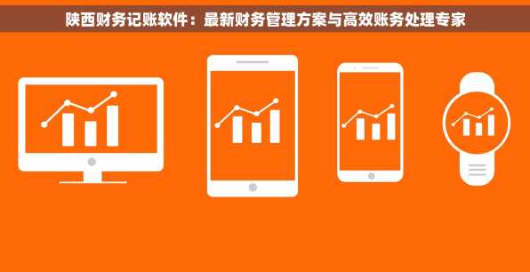 陕西财务记账软件：最新财务管理方案与高效账务处理专家