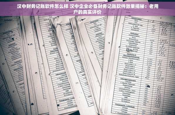 汉中财务记账软件怎么样 汉中企业必备财务记账软件效果揭秘：老用户的真实评价