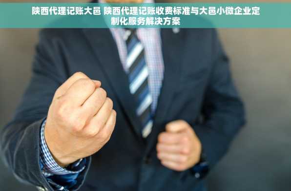 陕西代理记账大邑 陕西代理记账收费标准与大邑小微企业定制化服务解决方案