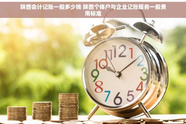 陕西会计记账一般多少钱 陕西个体户与企业记账服务一般费用标准