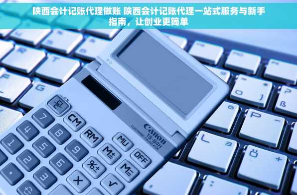 陕西会计记账代理做账 陕西会计记账代理一站式服务与新手指南，让创业更简单