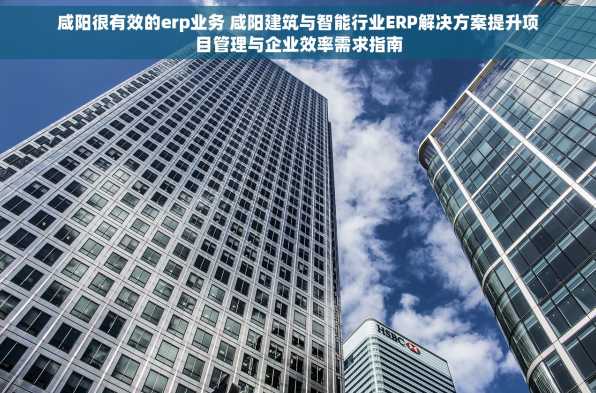咸阳很有效的erp业务 咸阳建筑与智能行业ERP解决方案提升项目管理与企业效率需求指南