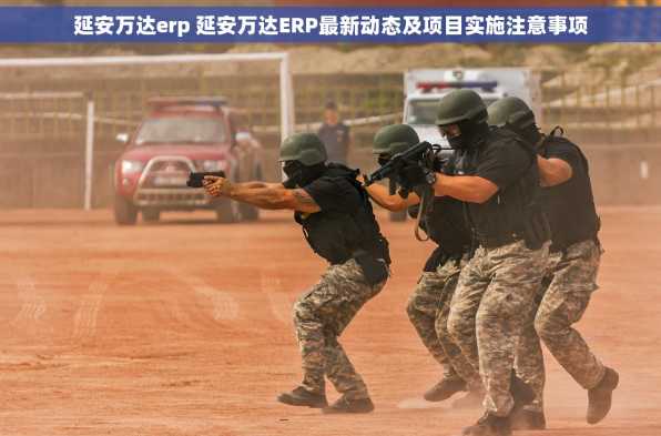 延安万达erp 延安万达ERP最新动态及项目实施注意事项