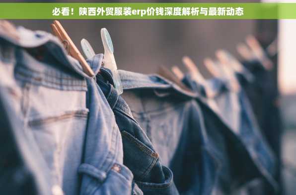 必看！陕西外贸服装erp价钱深度解析与最新动态