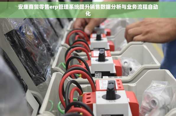 安康商贸零售erp管理系统提升销售数据分析与业务流程自动化