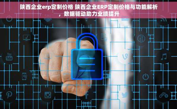 陕西企业erp定制价格 陕西企业ERP定制价格与功能解析，数据驱动助力业绩提升