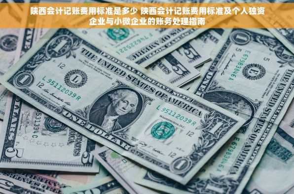 陕西会计记账费用标准是多少 陕西会计记账费用标准及个人独资企业与小微企业的账务处理指南
