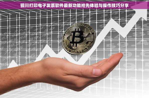 铜川打印电子发票软件最新功能抢先体验与操作技巧分享