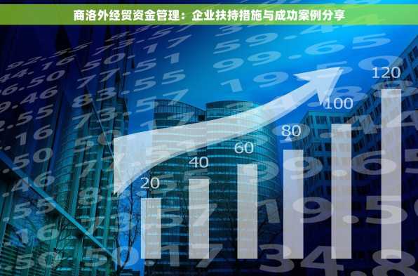 商洛外经贸资金管理：企业扶持措施与成功案例分享