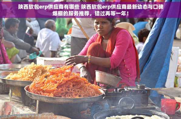 陕西软包erp供应商有哪些 陕西软包erp供应商最新动态与口碑爆棚的服务推荐，错过再等一年！