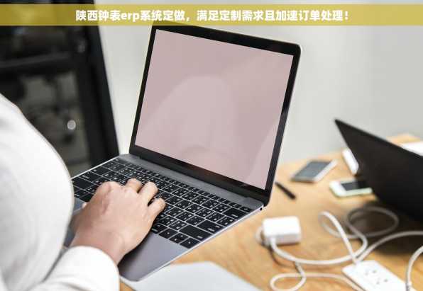 陕西钟表erp系统定做，满足定制需求且加速订单处理！