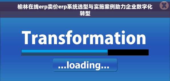榆林在线erp卖价erp系统选型与实施案例助力企业数字化转型