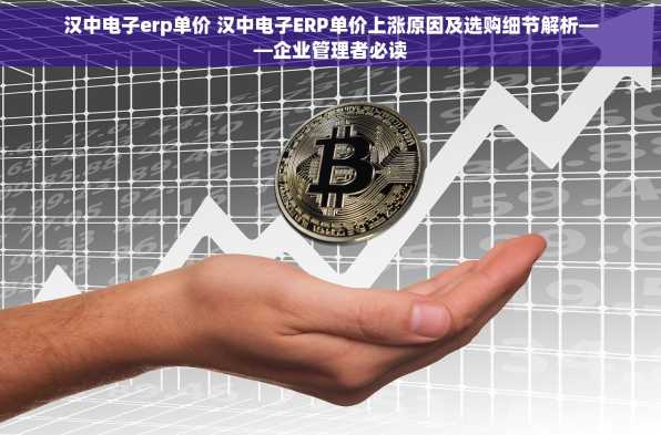 汉中电子erp单价 汉中电子ERP单价上涨原因及选购细节解析——企业管理者必读