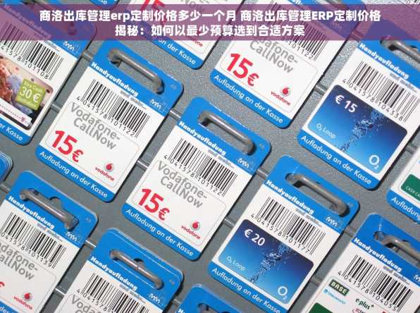 商洛出库管理erp定制价格多少一个月 商洛出库管理ERP定制价格揭秘：如何以最少预算选到合适方案